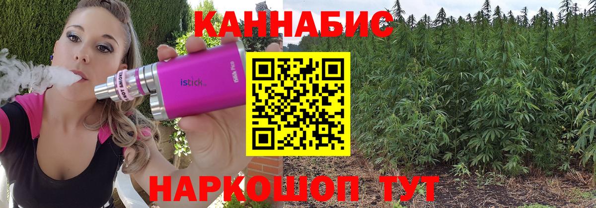 Бошки марихуана конопля Щёлково
